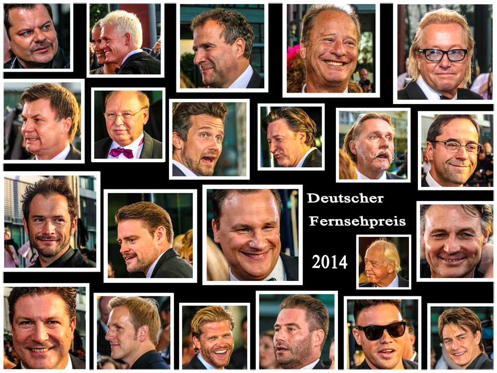 Deutscher Fernsehpreis 2014 Männlich