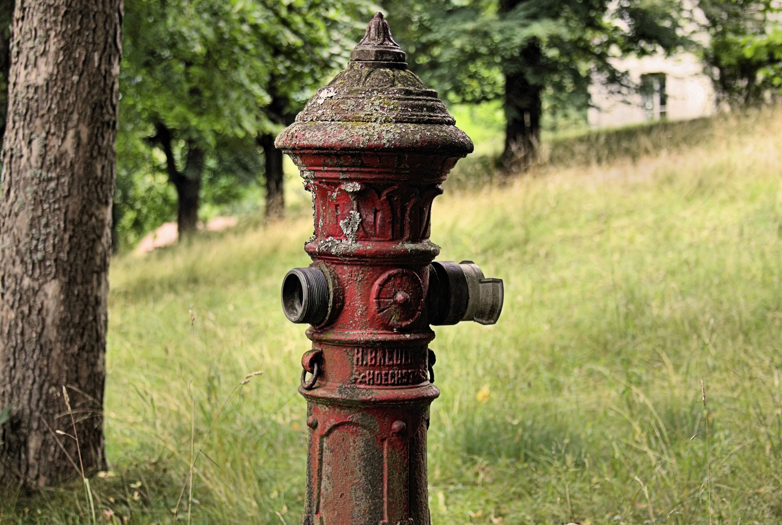 (Deutscher) Hydrant im Parc du Wesserling