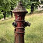 (Deutscher) Hydrant im Parc du Wesserling