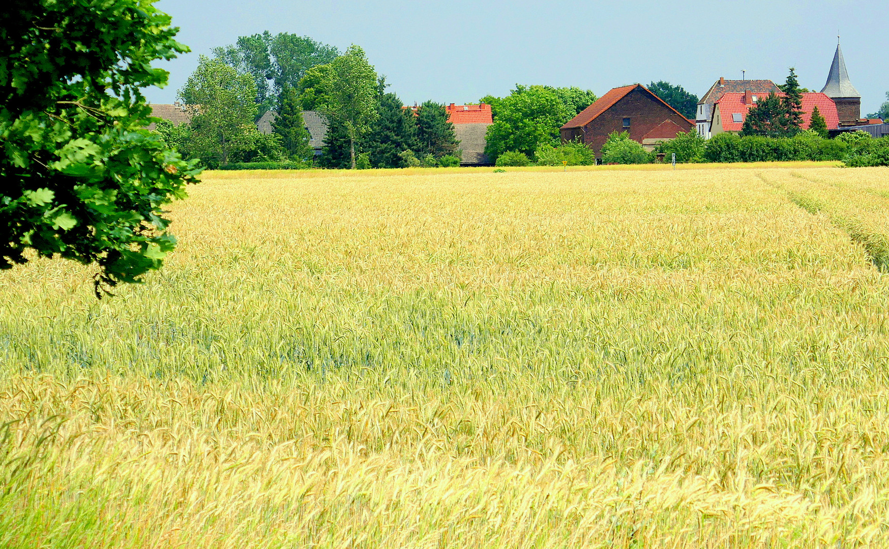 Deutscher Sommer 2017 (5)