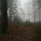 deutscher wald.2