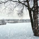 Deutscher Wetterdienst: Letzte 10 Winter zu warm