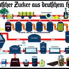 Deutscher Zucker aus deutschem Holz