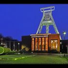 Deutsches Bergbau- Museum, Bochum, 2