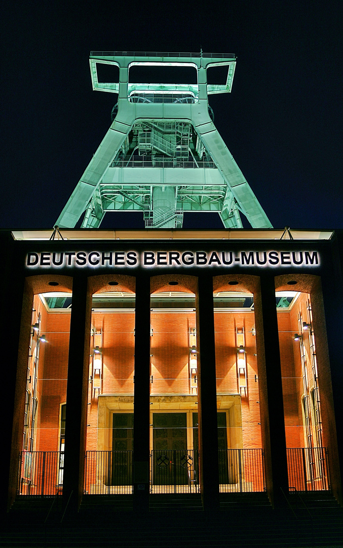 Deutsches Bergbaumuseum / Bochum / 2013 / 4