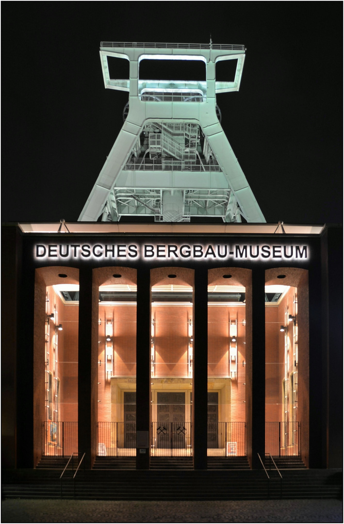 Deutsches Bergbaumuseum, Bochum (4)