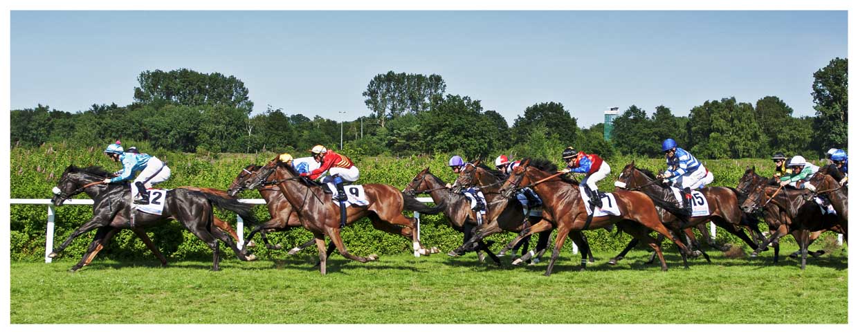 Deutsches Derby 2013