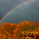 deutsches eck unterm regenbogen