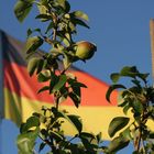 Deutsches Obst ist Sicher