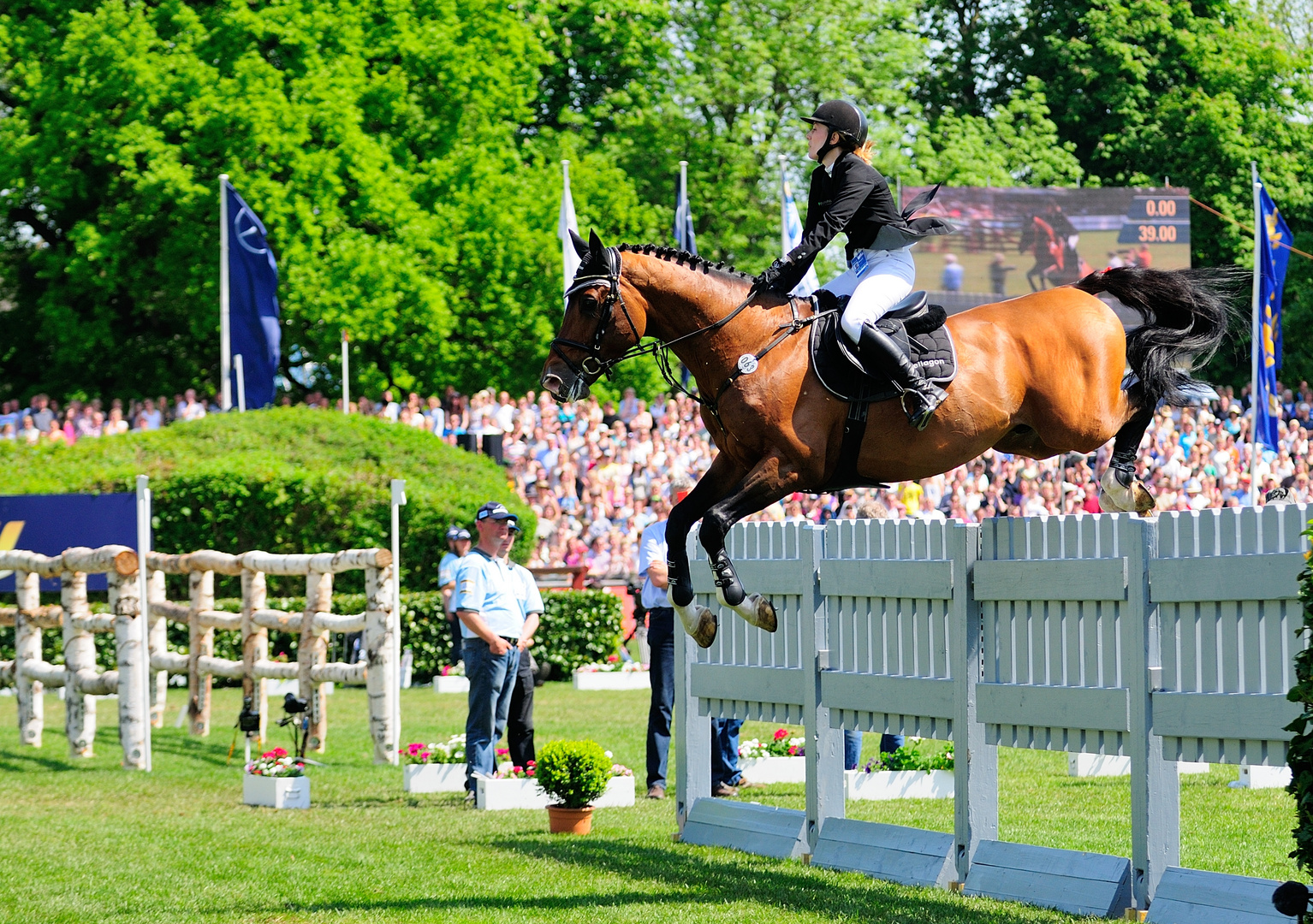 Deutsches Spring- und Dressur-Derby 2012 - Diverse Reiter