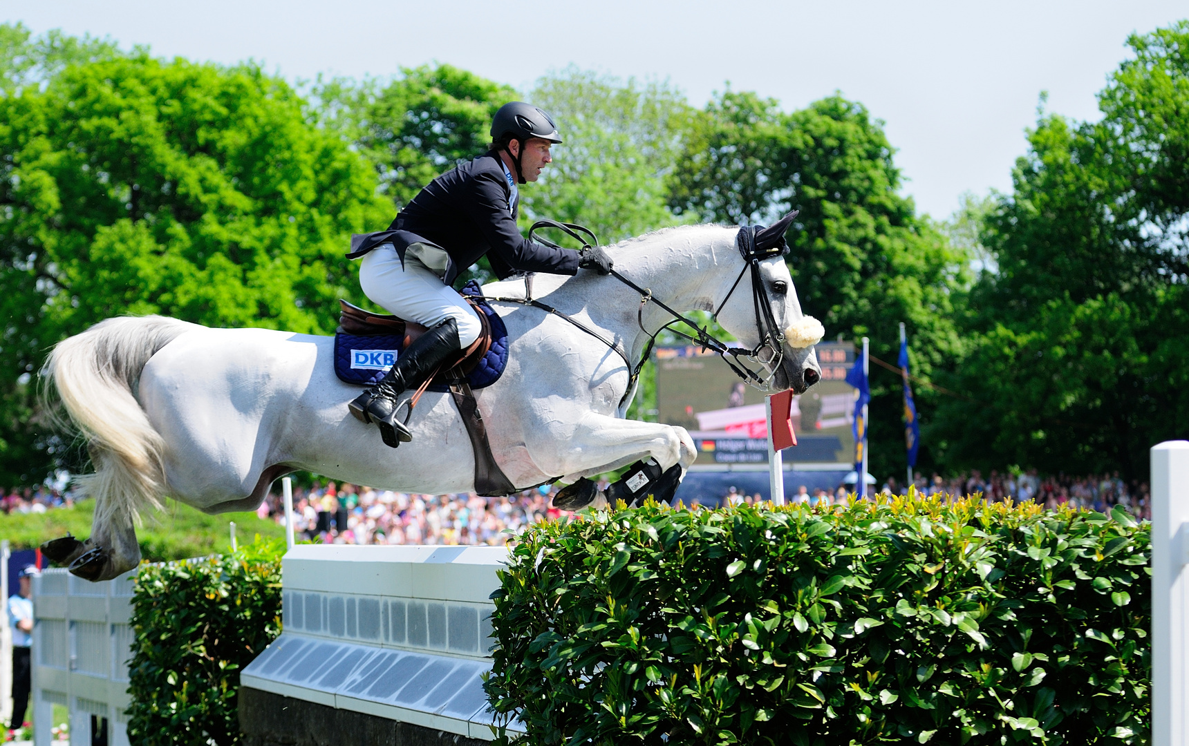 Deutsches Spring- und Dressur-Derby 2012 - Diverse Starter 01