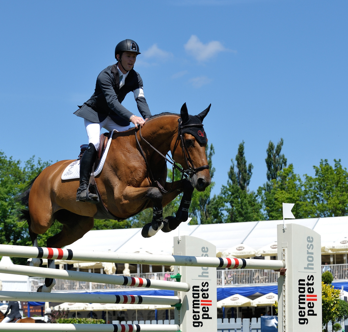 Deutsches Spring- und Dressur Derby Hamburg 2014 - 12