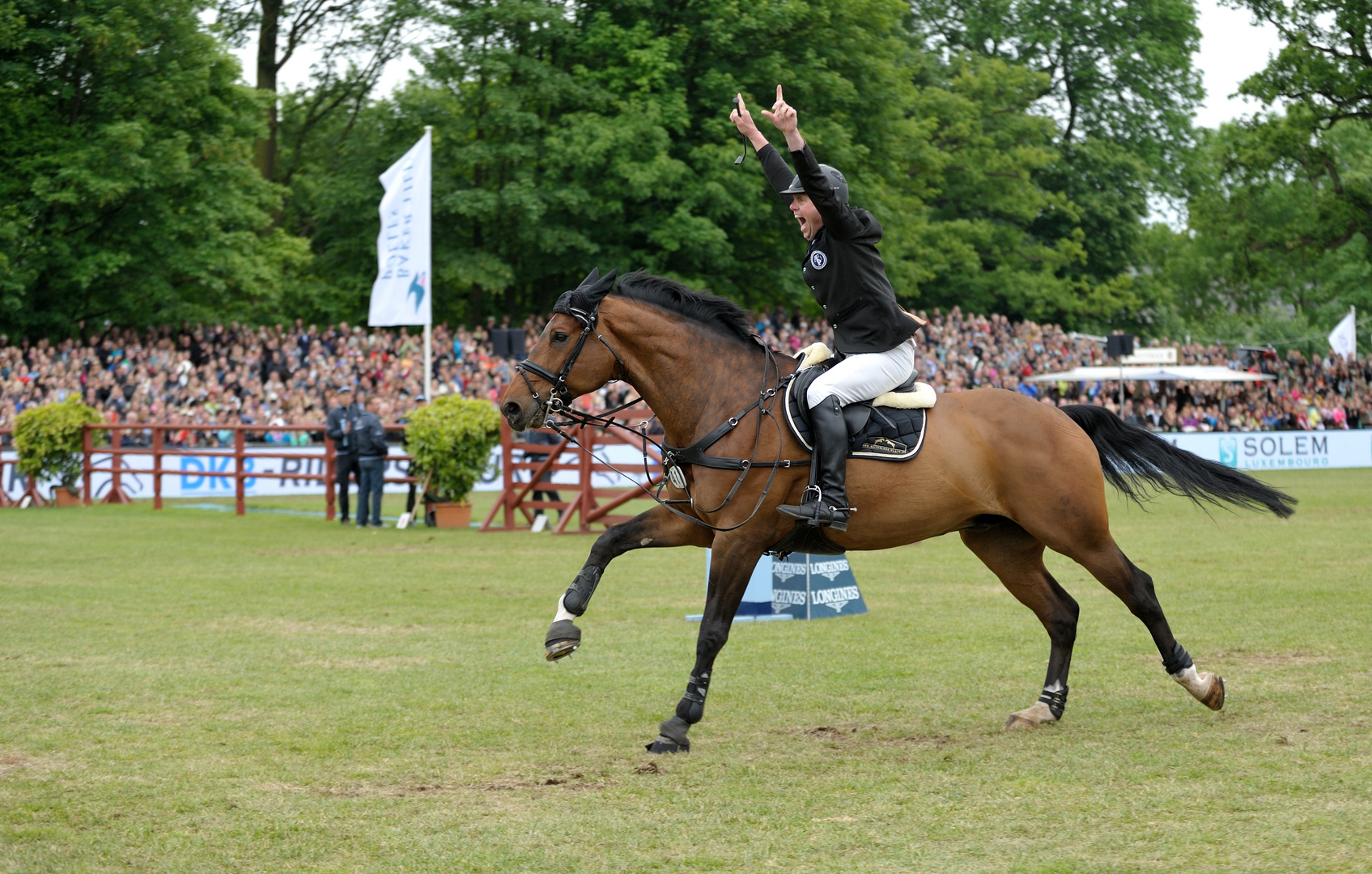 Deutsches Spring- und Dressur Derby Hamburg 2014 - 17