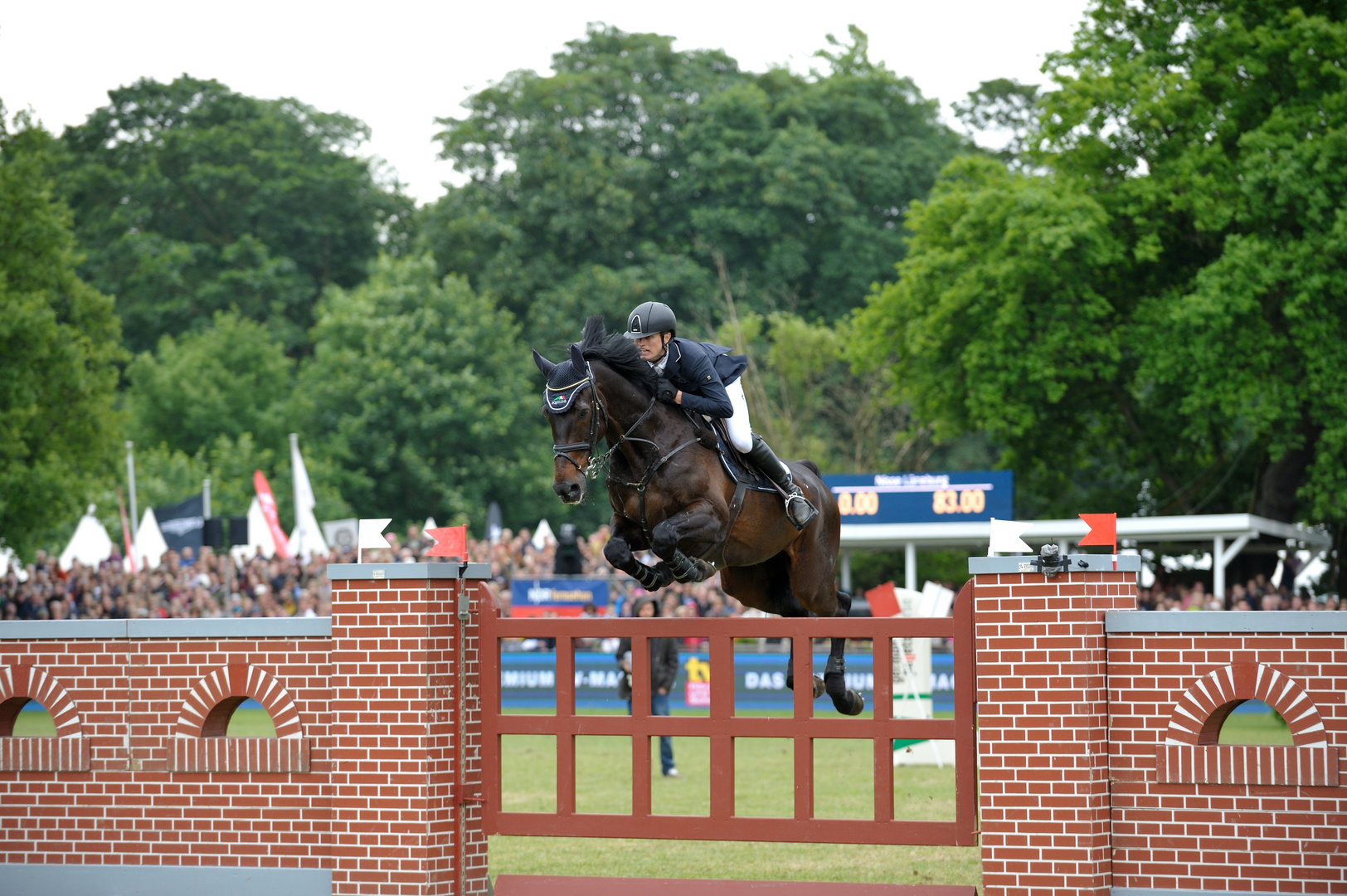 Deutsches Spring- und Dressur Derby Hamburg 2014 - 9