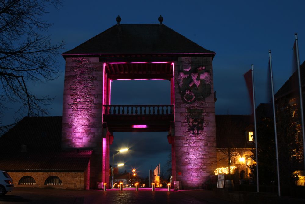 Deutsches Weintor Foto & Bild architektur, architektur bei nacht, licht (light) Bilder auf Deutsches Weintor Foto & Bild architektur, architektur bei nacht, licht (light) Bilder auf