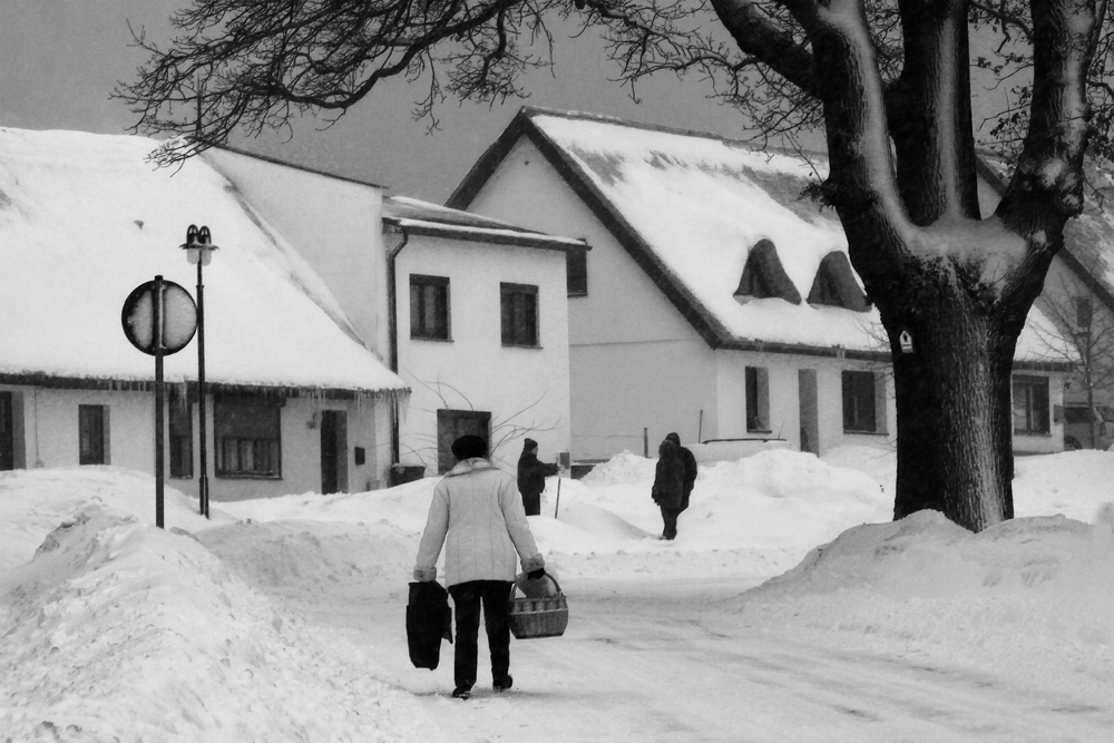 Deutschland 2010 - ein Wintermärchen