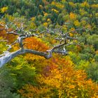 Deutschland 2017: BaWü Herbstgruß von der Alb