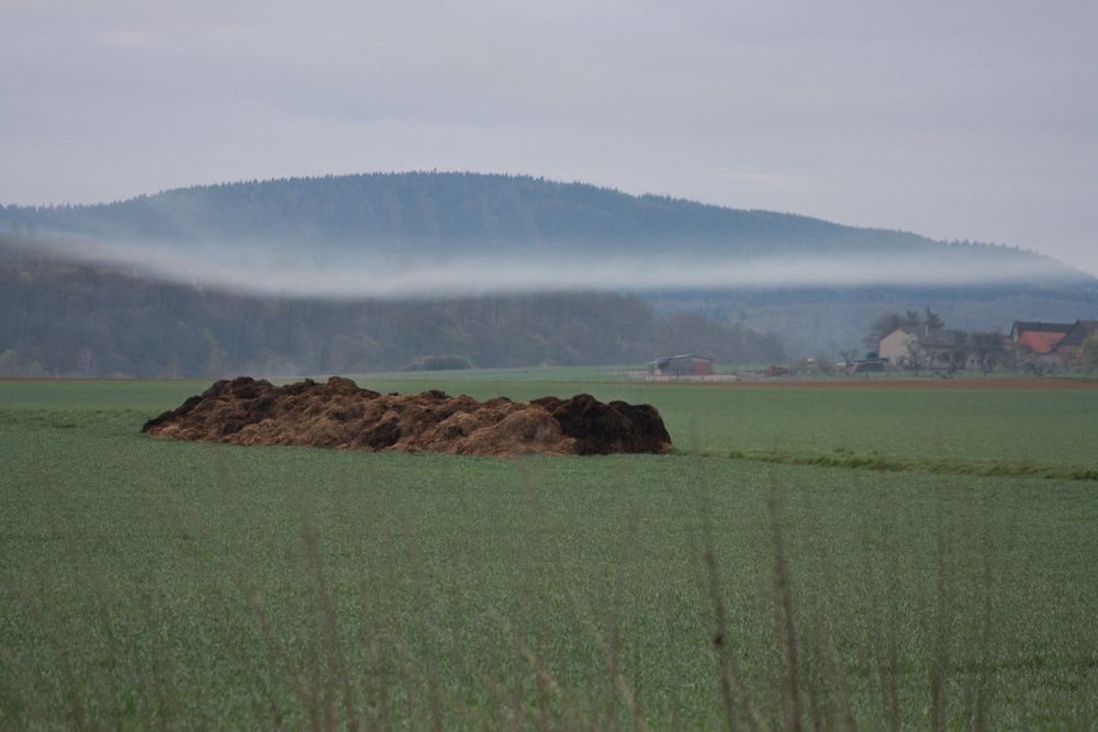 Deutschland von TanjaDy 