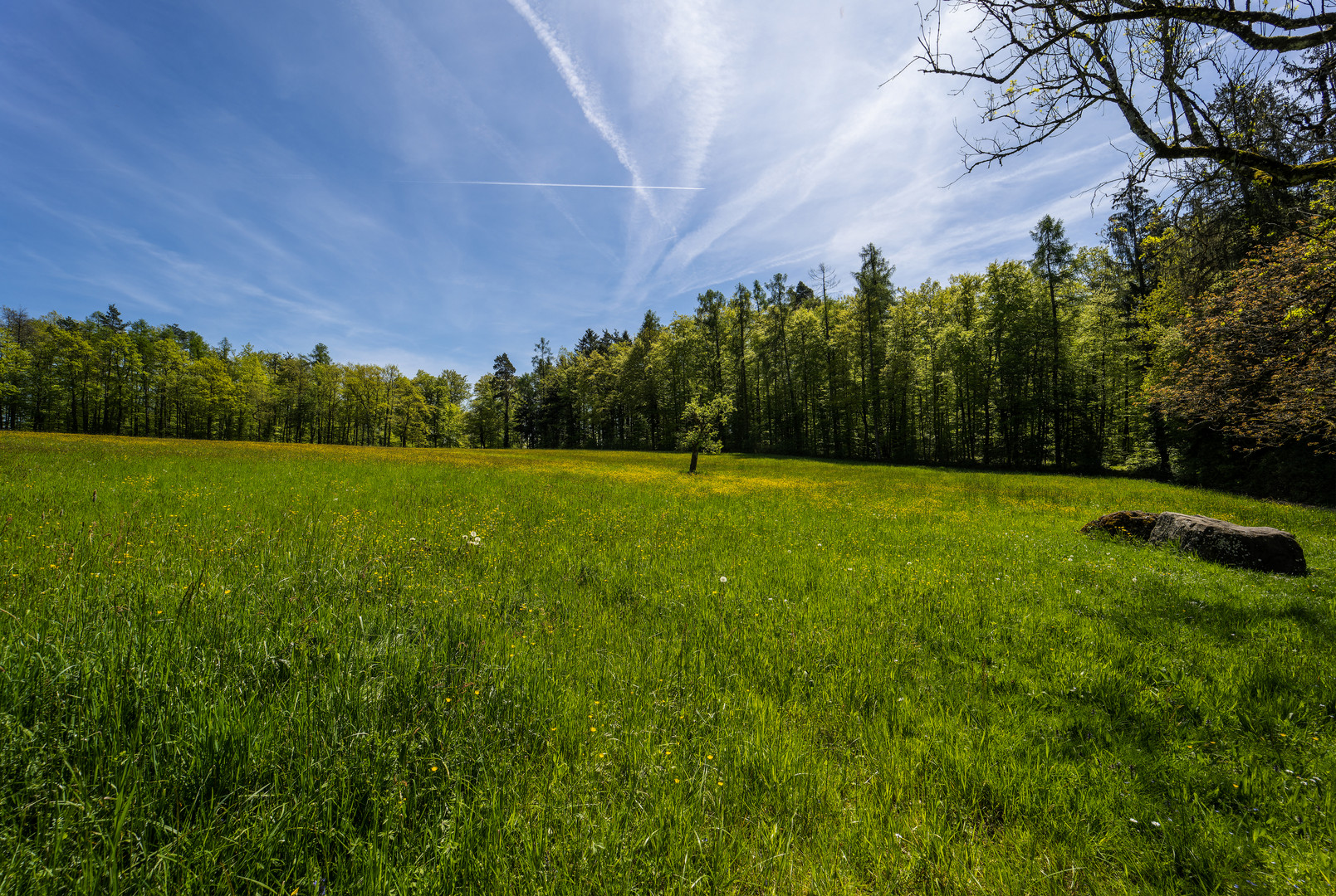 Deutschland, der Schwarzwald