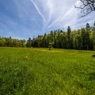 Deutschland, der Schwarzwald