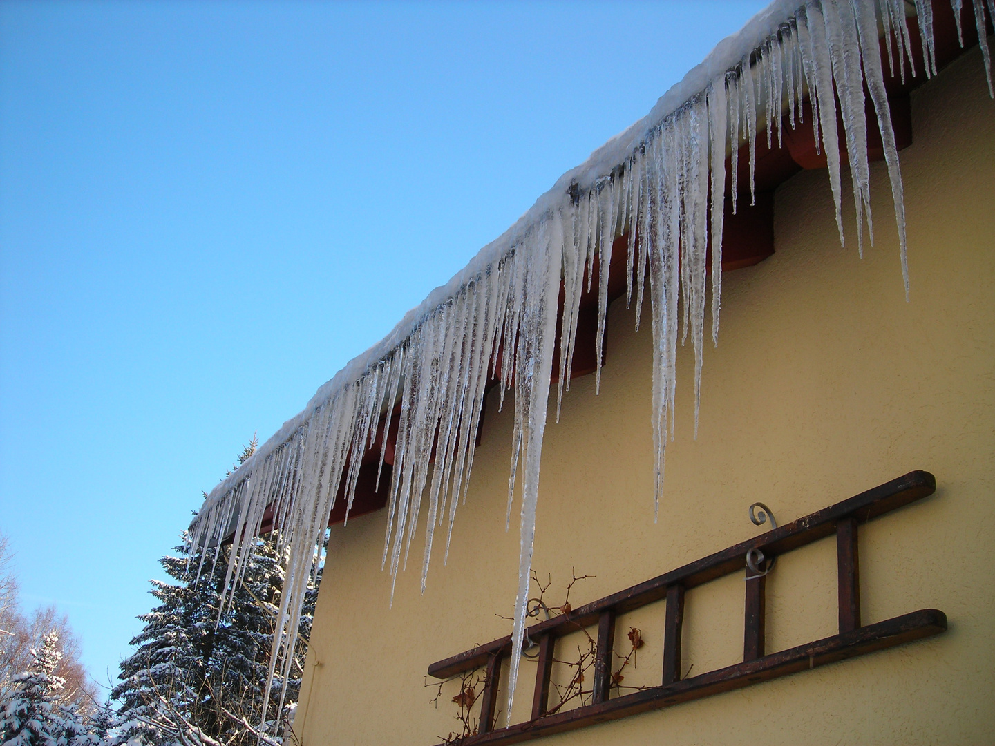 Deutschland, ein Wintermärchen !