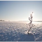 Deutschland ein Wintermärchen V