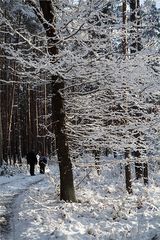 Deutschland ein Wintermärchen ~ vor 367 Tage