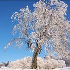 Deutschland - ein Wintermärchen(1)