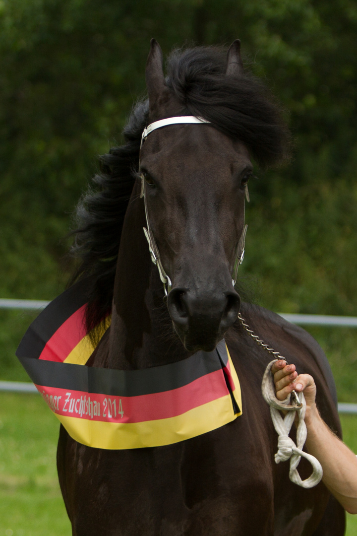 Deutschland-Fan