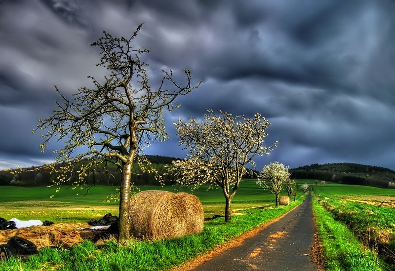 deutschland frühling