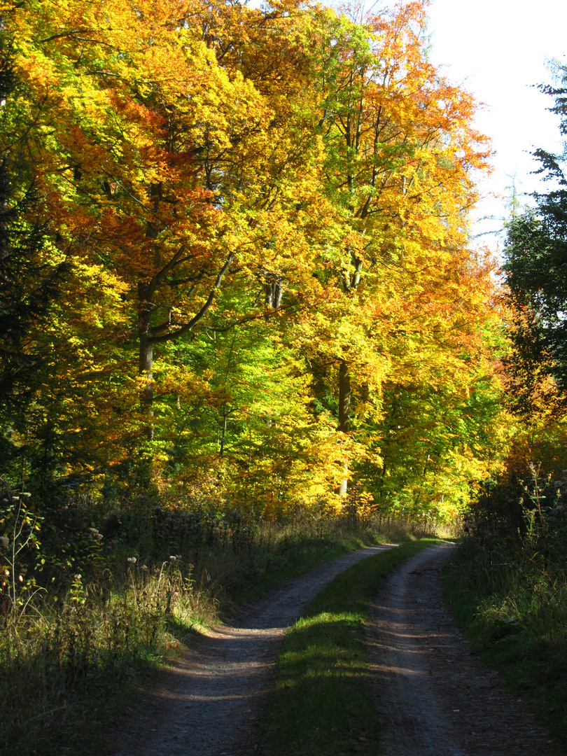 Deutschland im Herbst