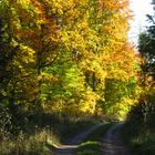 Deutschland im Herbst