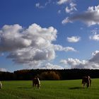 Deutschland im Herbst