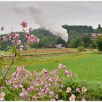 Deutschland im Herbst IX