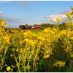 Deutschland im Herbst  LXXXIV