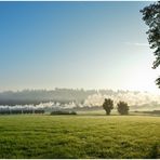 Deutschland im Herbst VI