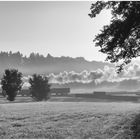 Deutschland im Herbst XLIX