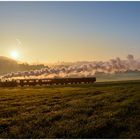 Deutschland im Herbst XLVI