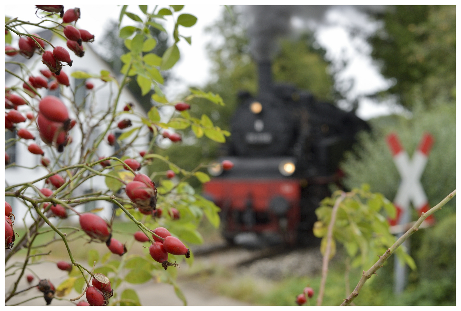 Deutschland im Herbst XXIII