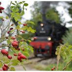 Deutschland im Herbst XXIII