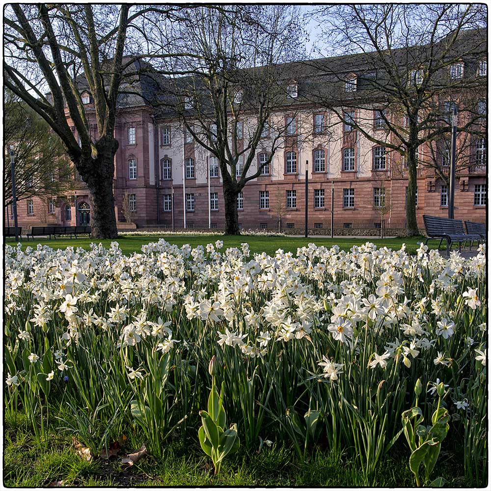 Deutschland im Quadrat - Frühling