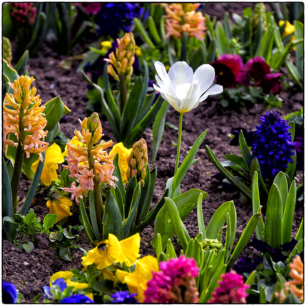 Deutschland im Quadrat - Frühling