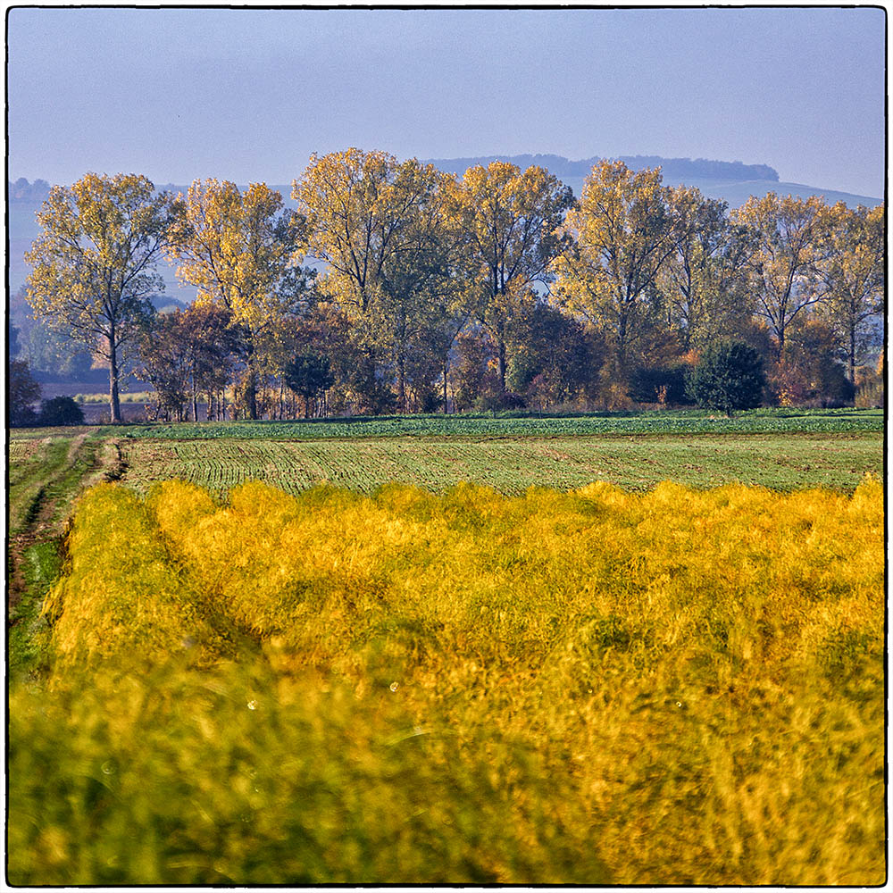 Deutschland im Quadrat - Gelber Herbst Foto & Bild ...