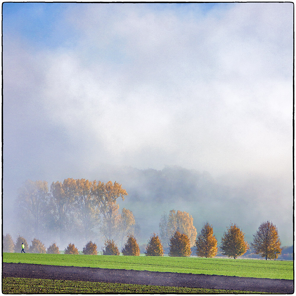 Deutschland im Quadrat - Herbst im Maifeld