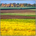 Deutschland im Quadrat - Herbstarbeit