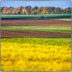 Deutschland im Quadrat - Herbstarbeit