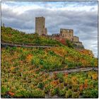 Deutschland im Quadrat - Herbstwein