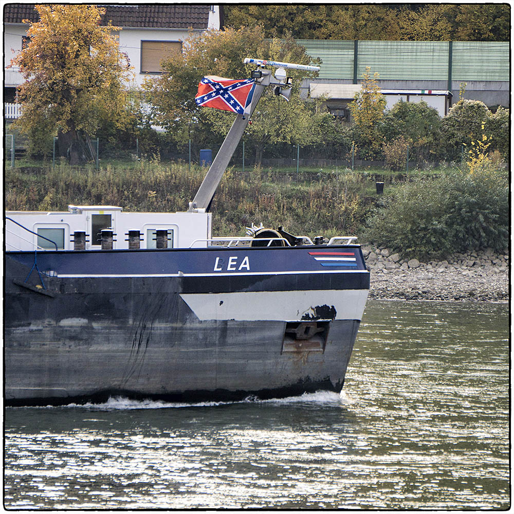 Deutschland im Quadrat - Lea mit der Rebellenflagge