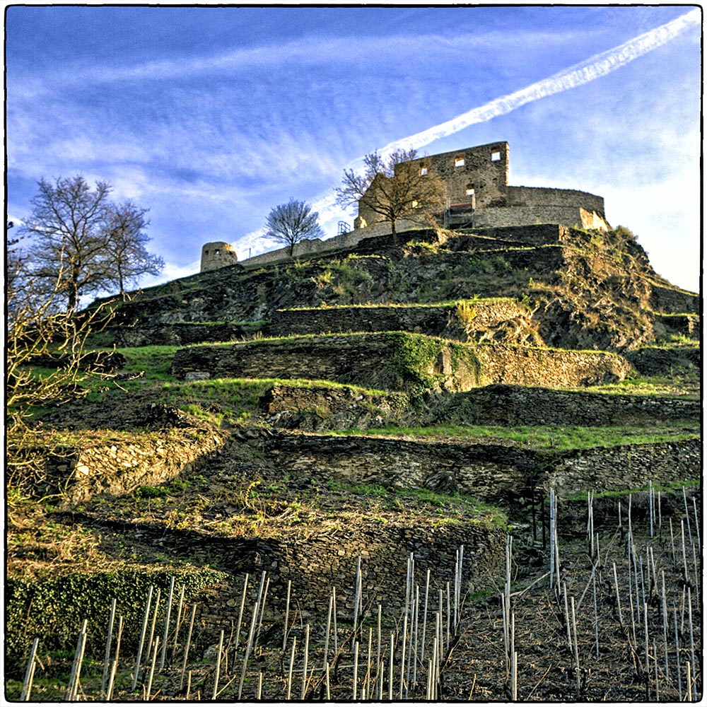 Deutschland im Quadrat - Wächter der Weinreben