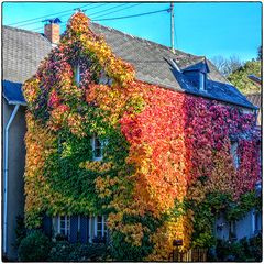 Deutschland im Quadrat - Weinhaus